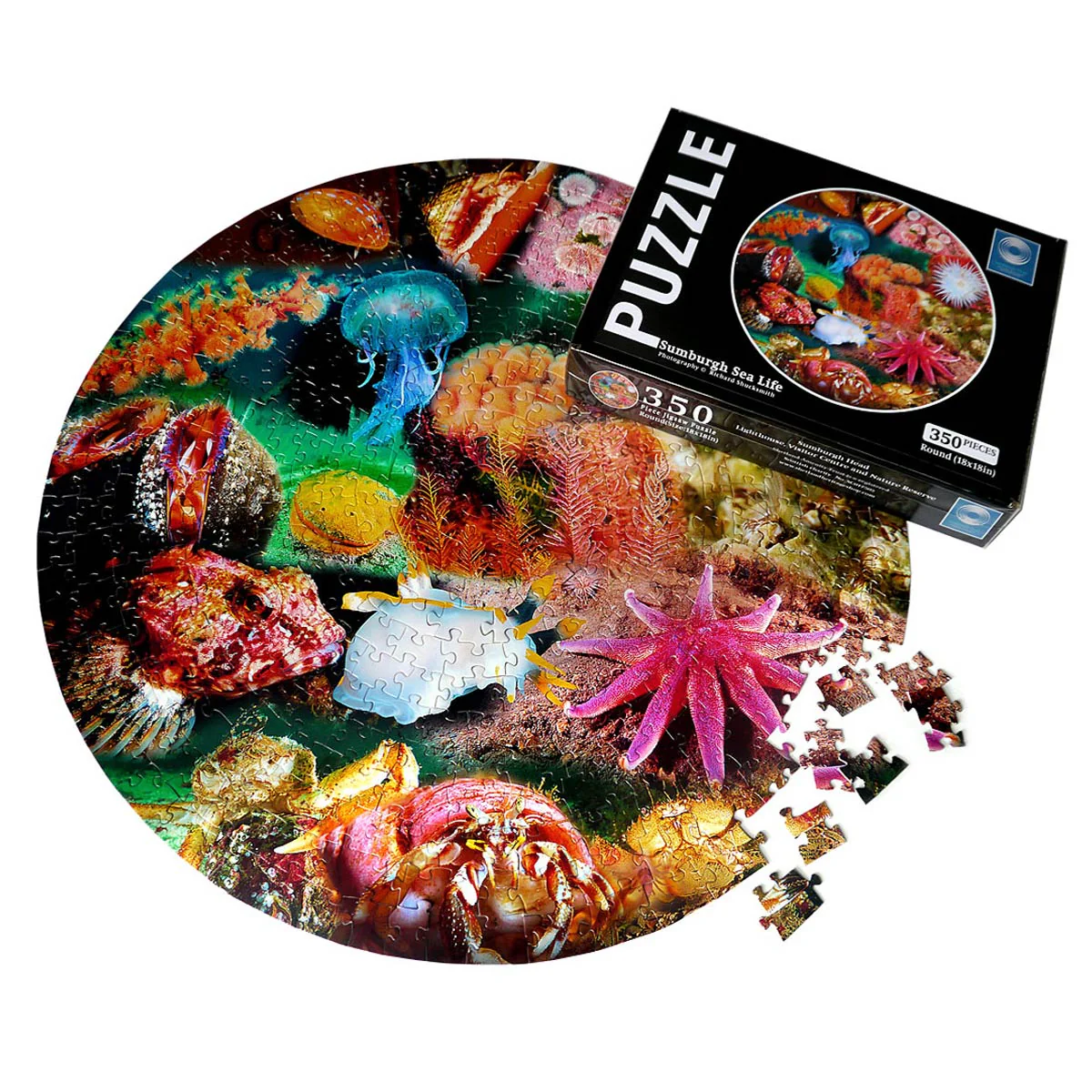 350 pieces Round Puzzle 18in - Image 3